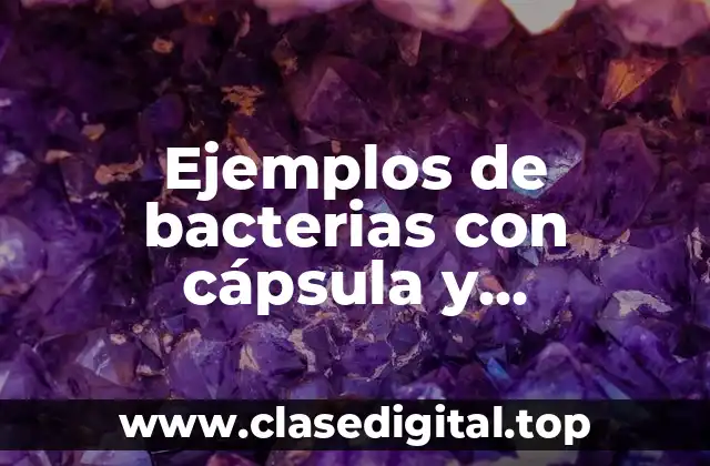 Ejemplos de bacterias con cápsula y Significado