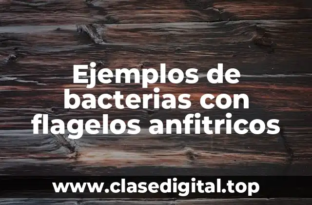 Ejemplos de bacterias con flagelos anfitricos