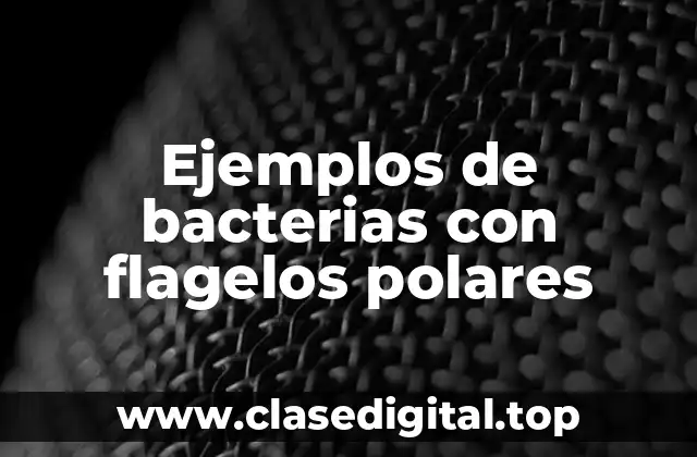 Ejemplos de bacterias con flagelos polares