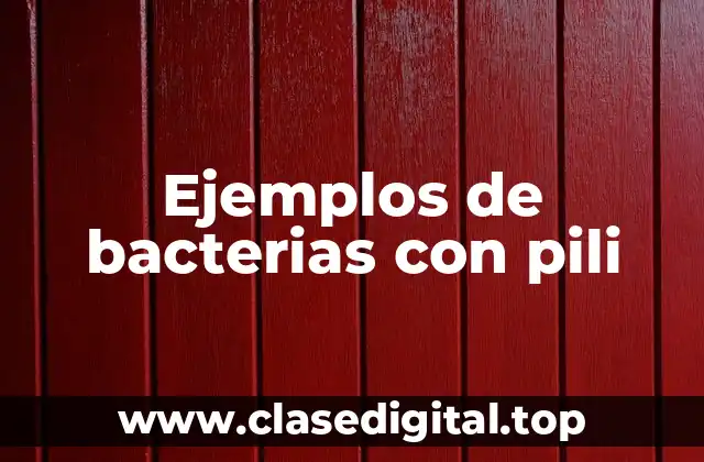 Ejemplos de bacterias con pili