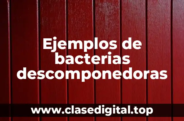 Ejemplos de bacterias descomponedoras