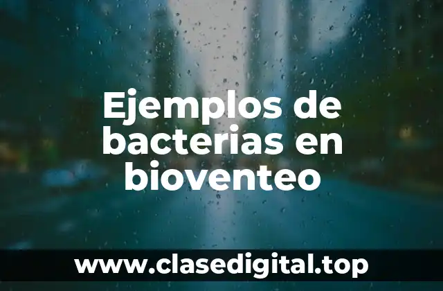 Ejemplos de bacterias en bioventeo