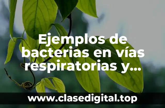 Ejemplos de bacterias en vías respiratorias