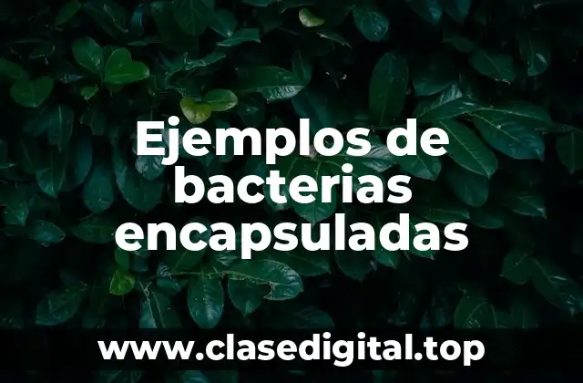 Ejemplos de bacterias encapsuladas