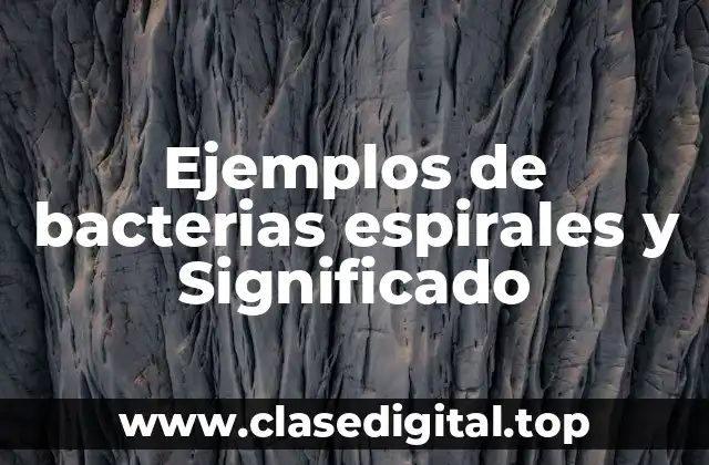 Ejemplos de bacterias espirales y Significado