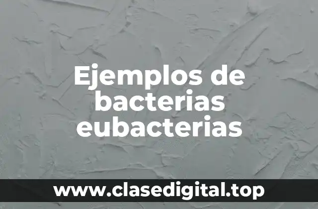 Ejemplos de bacterias eubacterias