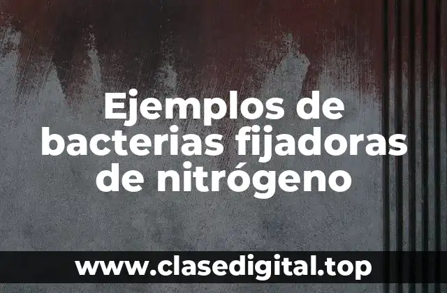 Ejemplos de bacterias fijadoras de nitrógeno