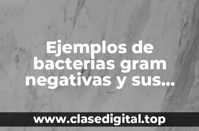 Ejemplos de bacterias gram negativas y sus enfermedades y Significado