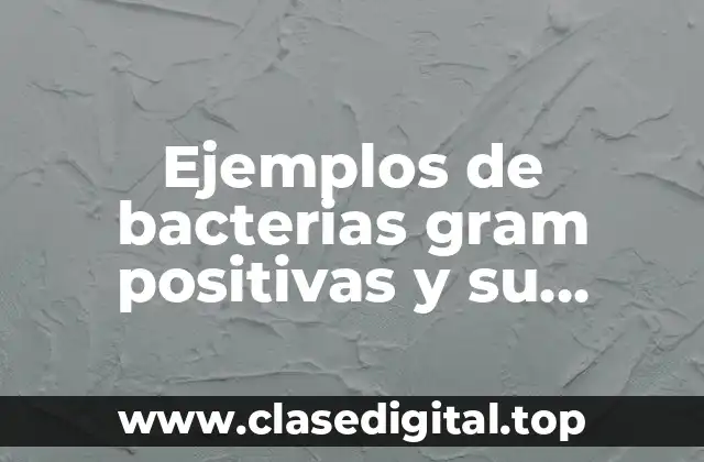Ejemplos de bacterias gram positivas