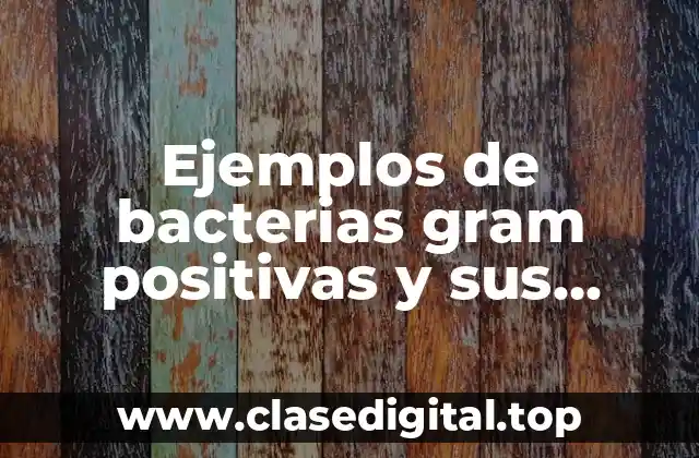 Ejemplos de bacterias gram positivas y sus enfermedades y Significado