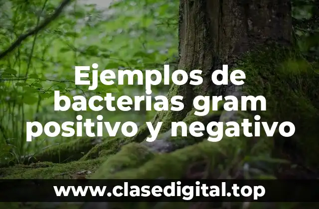 Ejemplos de bacterias gram positivo y negativo