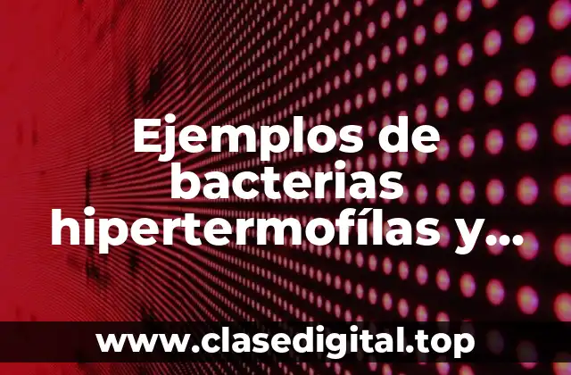 Ejemplos de bacterias hipertermofílas y Significado