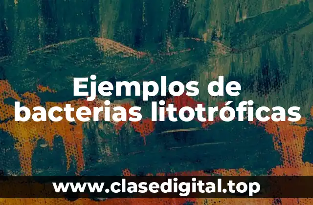 Ejemplos de bacterias litotróficas