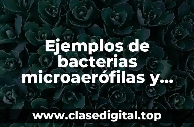 Ejemplos de bacterias microaerófilas y Significado
