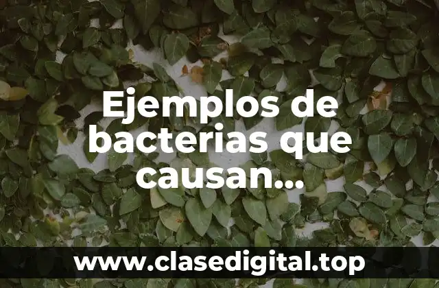 Ejemplos de bacterias que causan enfermedades por contaminación del agua y Significado