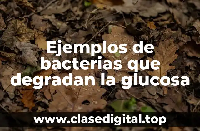 Ejemplos de bacterias que degradan la glucosa