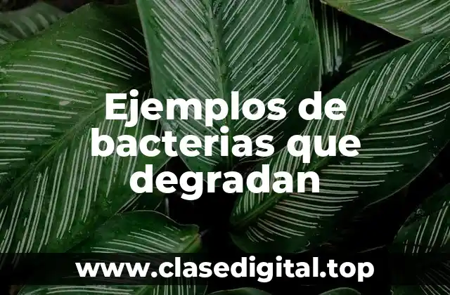 Ejemplos de bacterias que degradan