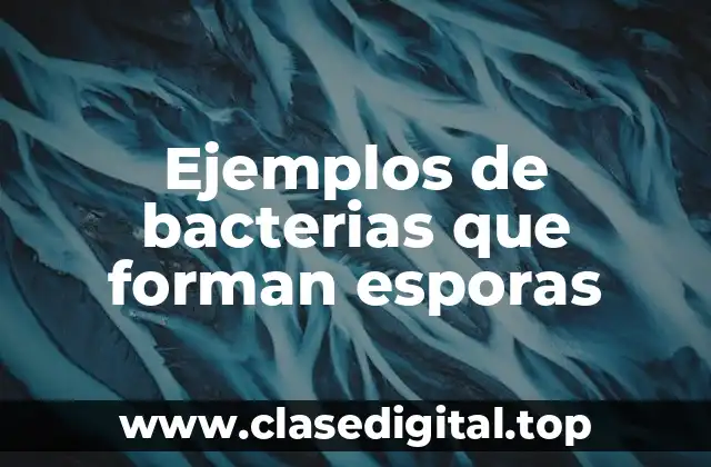 Ejemplos de bacterias que forman esporas