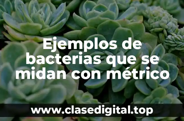 Ejemplos de bacterias que se midan con métrico
