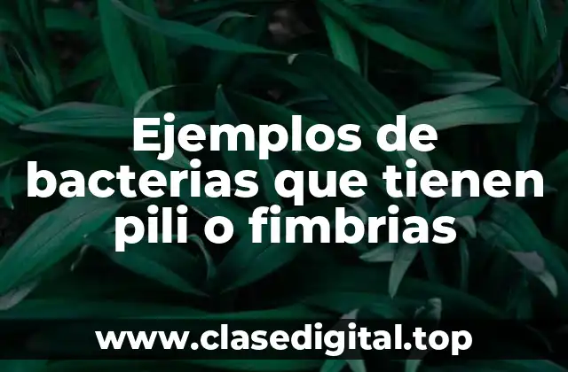 Ejemplos de bacterias que tienen pili o fimbrias