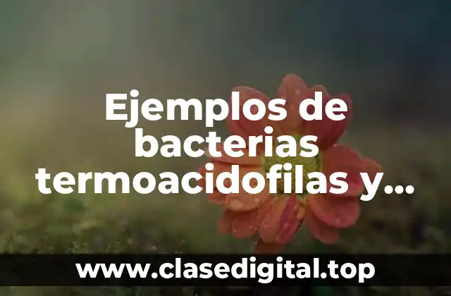 Ejemplos de bacterias termoacidofilas y Significado