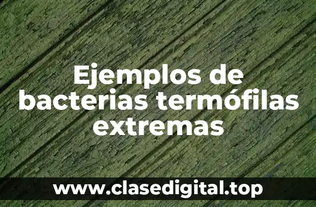 Ejemplos de bacterias termófilas extremas