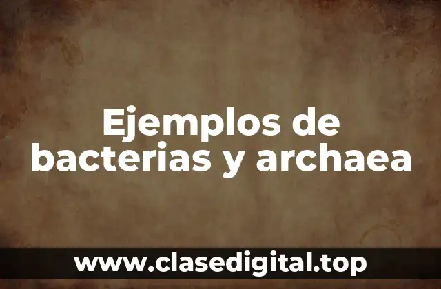 Ejemplos de bacterias y archaea