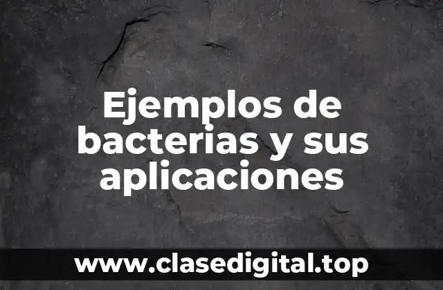 Ejemplos de bacterias y sus aplicaciones