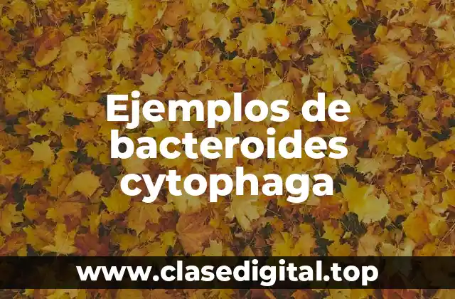 Ejemplos de bacteroides cytophaga
