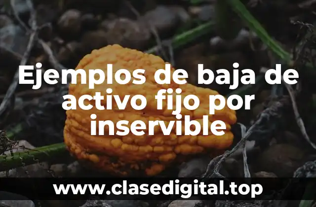 Ejemplos de baja de activo fijo por inservible