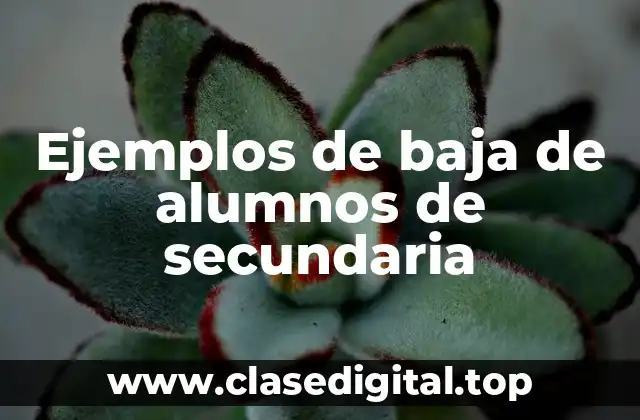 Ejemplos de baja de alumnos de secundaria