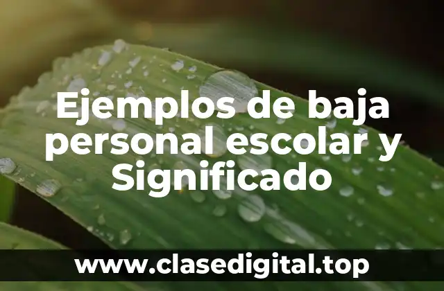 Ejemplos de baja personal escolar y Significado