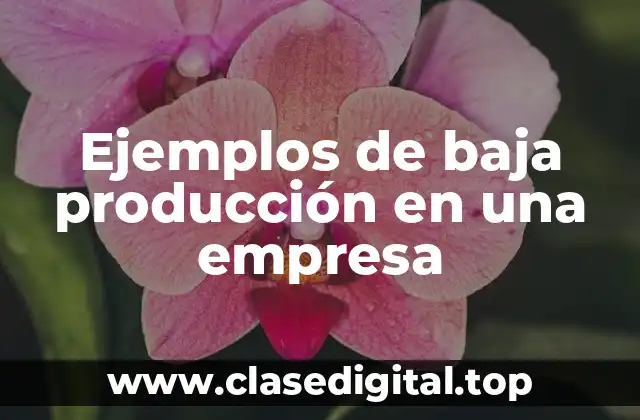 Ejemplos de baja producción en una empresa