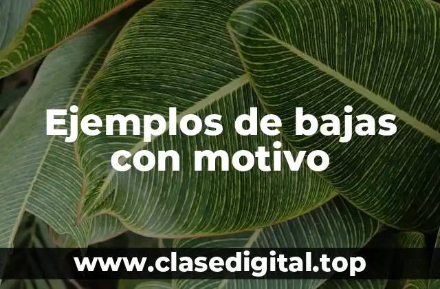 Ejemplos de bajas con motivo