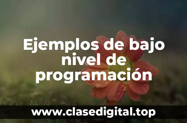 Ejemplos de bajo nivel de programación