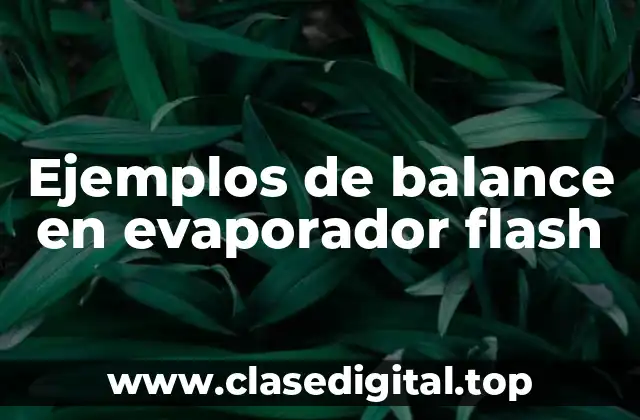 Ejemplos de balance en evaporador flash