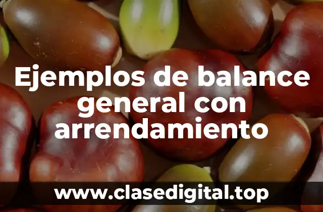 Ejemplos de balance general con arrendamiento