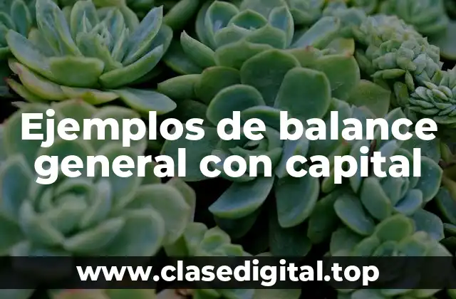 Ejemplos de balance general con capital