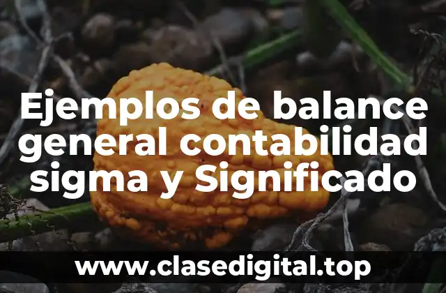 Ejemplos de balance general contabilidad sigma y Significado
