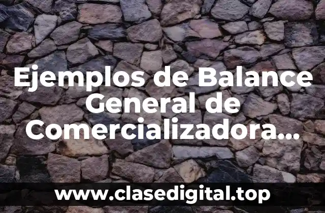 Ejemplos de Balance General de Comercializadora Favre y Significado