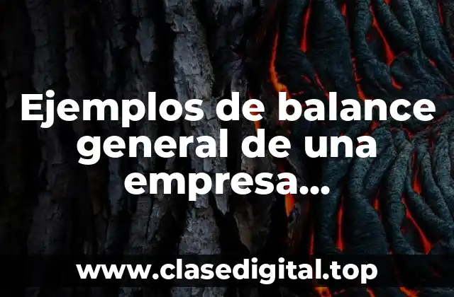 Ejemplos de balance general de una empresa constructora