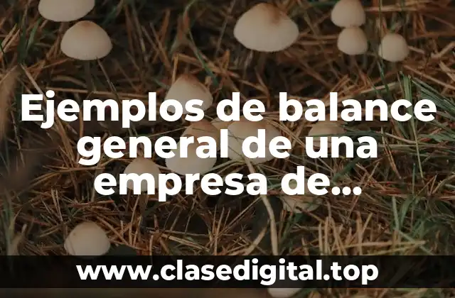 Ejemplos de balance general de una empresa de ganadera y Significado