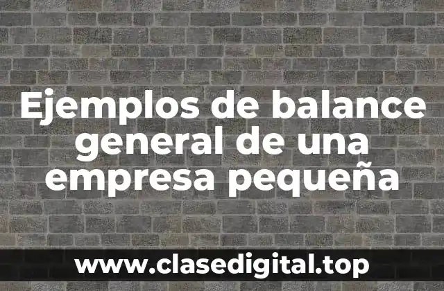 Ejemplos de balance general de una empresa pequeña