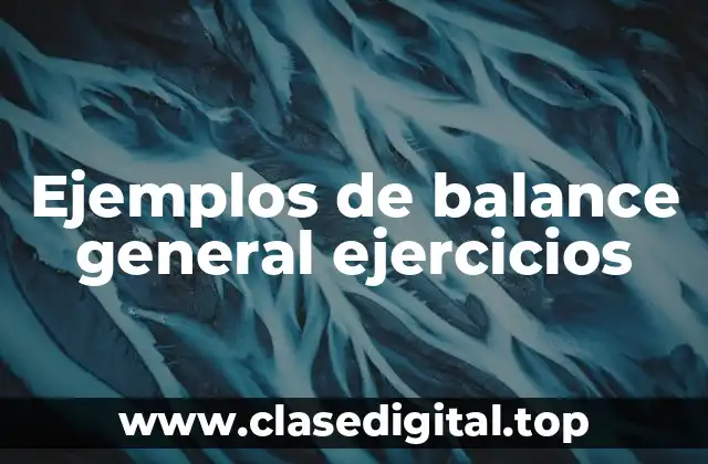 Ejemplos de balance general ejercicios