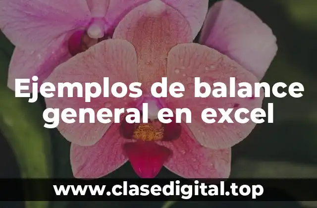Ejemplos de balance general en excel