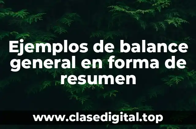 Ejemplos de balance general en forma de resumen