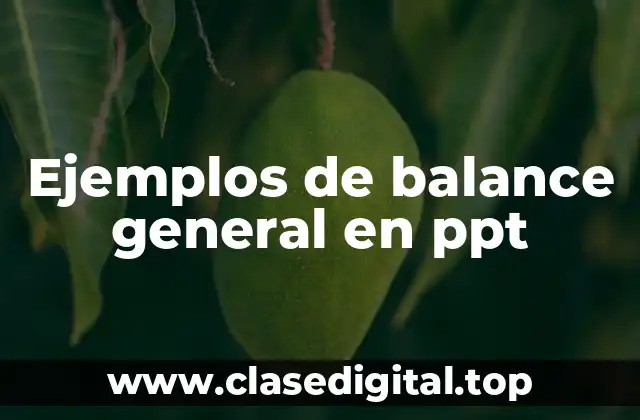 Ejemplos de balance general en ppt