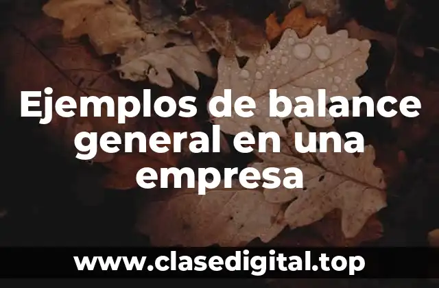 Ejemplos de balance general en una empresa