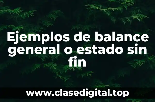 Ejemplos de balance general o estado sin fin