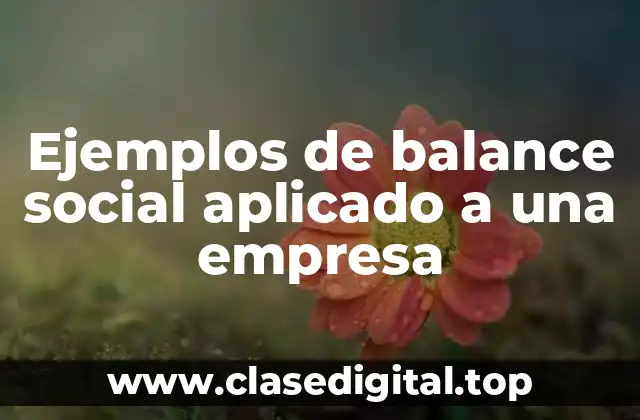 Ejemplos de balance social aplicado a una empresa